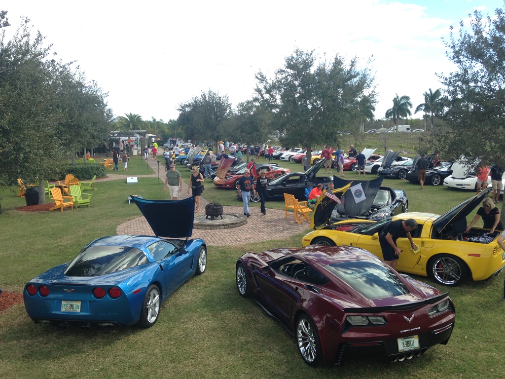VETTES IN THE VINES! 